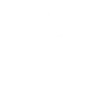 viking-badge-shipping